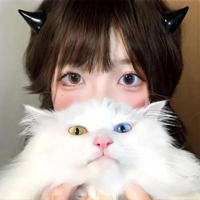 完美小姐进化论